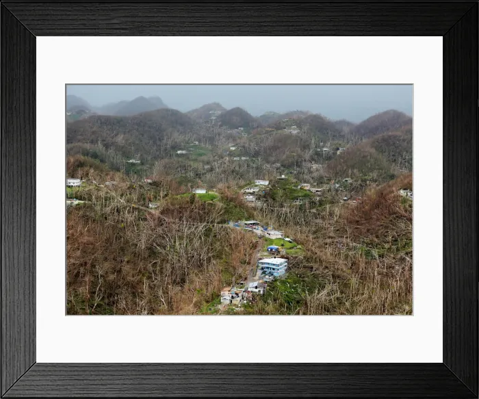 Framed Print : Homes damaged by Hurricane Maria stand amid thousands of trees that have been exfoliated