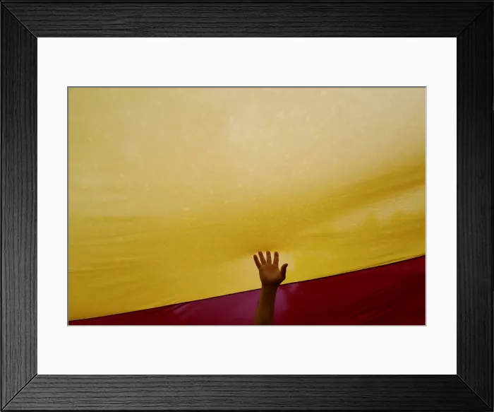 Framed Print : A man touches a Spanish flag during a demonstration in favour of a unified Spain a day Framed Print : A man touches a Spanish flag during a demonstration in favour of a unified Spain a day