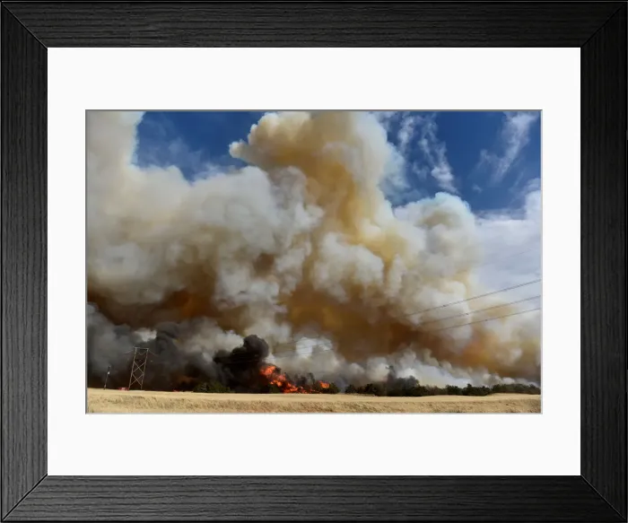 Framed Print : The Rhea fire burns through a grove of red cedar trees near Seiling