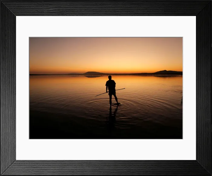 Framed Print : A volunteer wades across the lagoon at dawn to gather flamingo chicks Framed Print : A volunteer wades across the lagoon at dawn to gather flamingo chicks