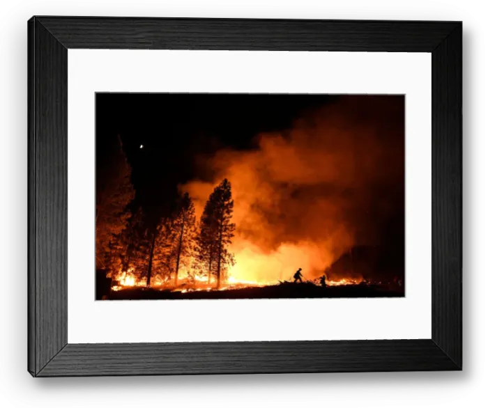 Framed Print : A firefighter battles the Ponderosa Fire east of Oroville Framed Print : A firefighter battles the Ponderosa Fire east of Oroville