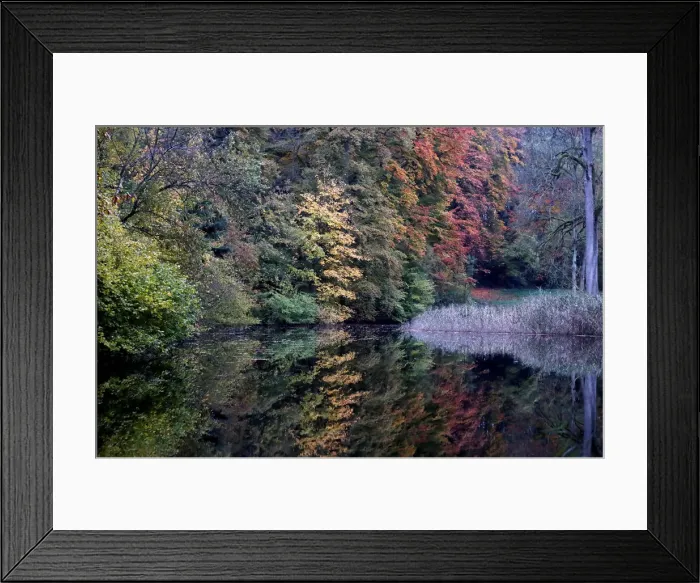 Framed Print : Autumn in a park in Gsbeek Framed Print : Autumn in a park in Gsbeek