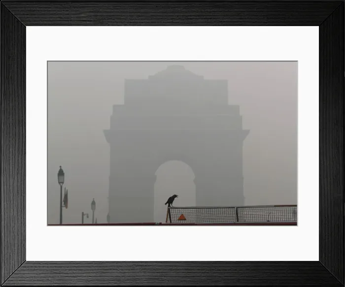 Framed Print : A crow sits on a barricade in front of India Gate amidst smog in New Delhi Framed Print : A crow sits on a barricade in front of India Gate amidst smog in New Delhi