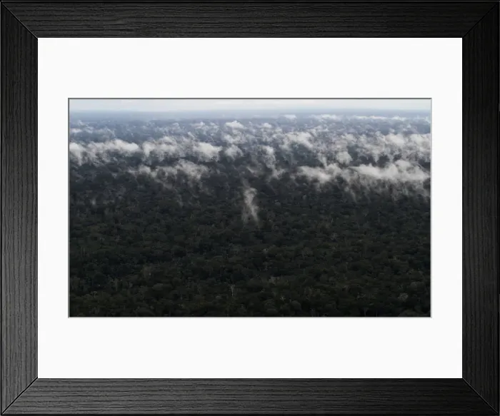 Framed Print : An aerial view shows the Amazon rainforest near the city of Santarem Framed Print : An aerial view shows the Amazon rainforest near the city of Santarem
