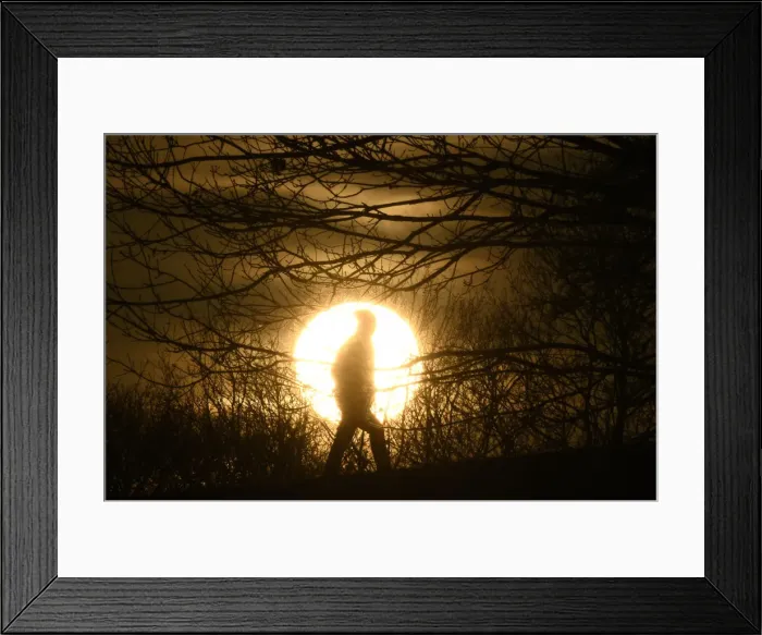 Framed Print : A walker is silhouetted in front of the setting sun on Primrose Hill in London Framed Print : A walker is silhouetted in front of the setting sun on Primrose Hill in London