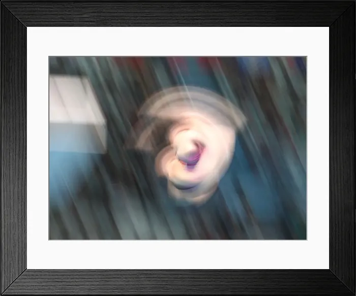 Framed Print : 17th FINA World Championships Framed Print : 17th FINA World Championships