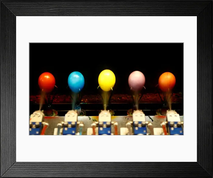 Framed Print : Hard-boiled eggs are coloured on the production line at the Schloegl egg company in Framed Print : Hard-boiled eggs are coloured on the production line at the Schloegl egg company in
