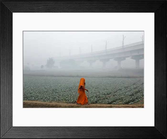Framed Print : A woman walks across a field on a smoggy morning in New Delhi
