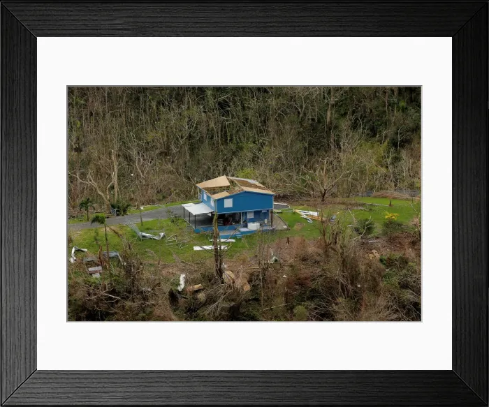 Framed Print : A damaged home is seen among blown down trees following Hurricane Maria in San Sebastian