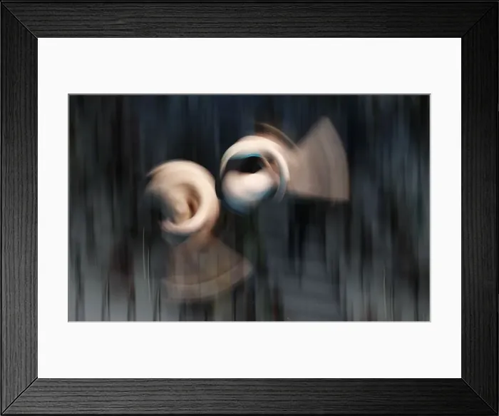 Framed Print : 17th FINA World Aquatics Championships Framed Print : 17th FINA World Aquatics Championships