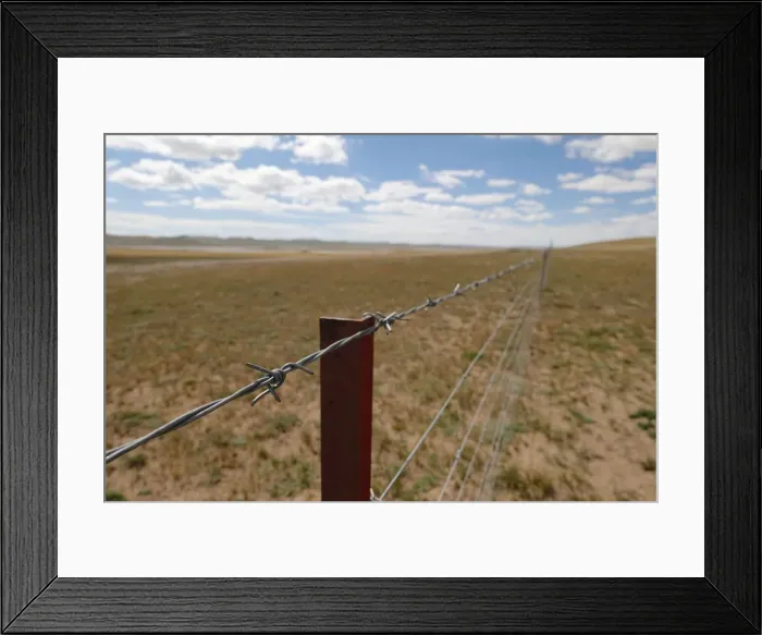 Framed Print : Fences stretch for kilometres near the headwaters of the Yellow River in Madoi Framed Print : Fences stretch for kilometres near the headwaters of the Yellow River in Madoi