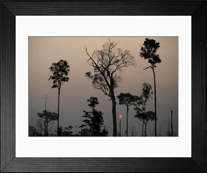 Framed Print : A view of a deforested area in Rio Pardo Framed Print : A view of a deforested area in Rio Pardo