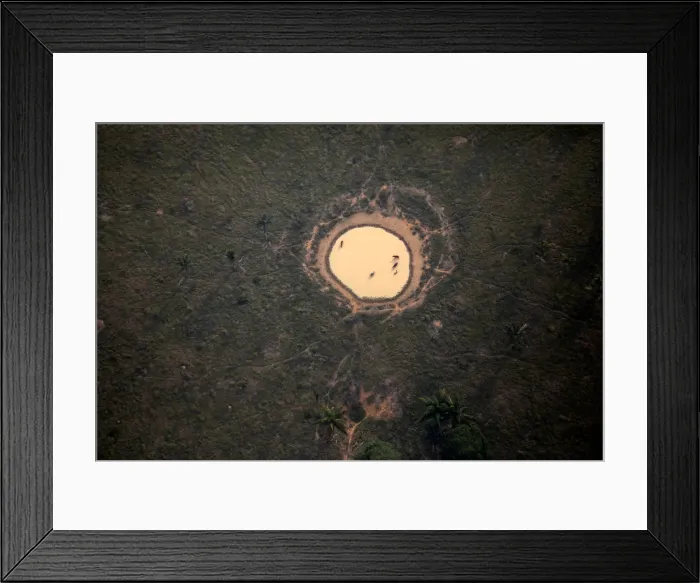 Framed Print : An aerial view shows a deforested plot of the Amazon near Porto Velho Framed Print : An aerial view shows a deforested plot of the Amazon near Porto Velho