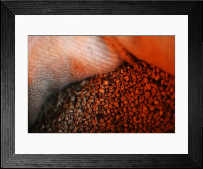Framed Print : Coffee beans are pictured inside a sack at a plantation in Tepezonapa Framed Print : Coffee beans are pictured inside a sack at a plantation in Tepezonapa