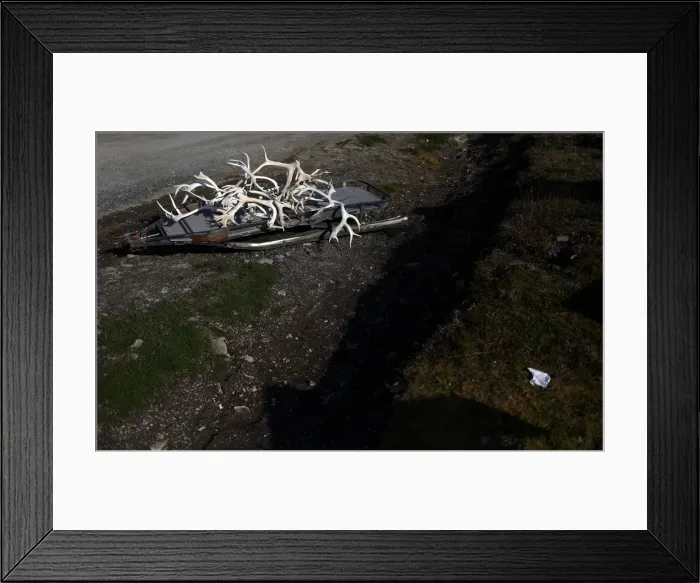 Framed Print : The Wider Image: A climate-change frontier in the worlds northernmost town Framed Print : The Wider Image: A climate-change frontier in the worlds northernmost town