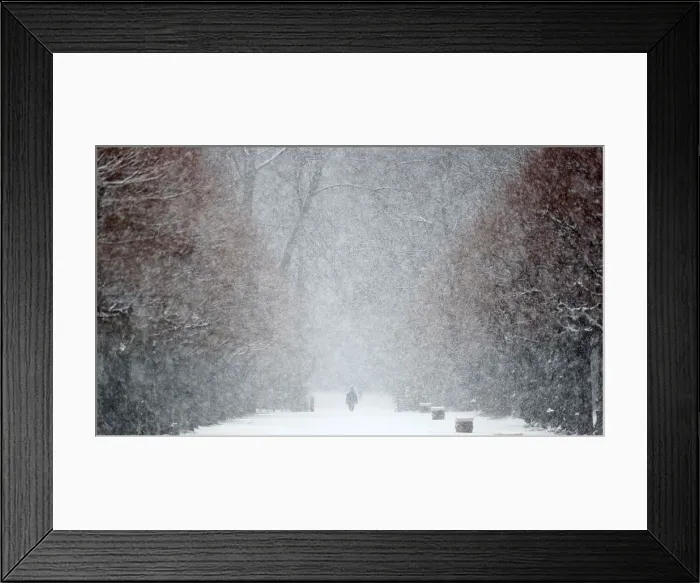 Framed Print : A person walks during snowfall in the grounds of the Charlottenburg Palace in Berlin Framed Print : A person walks during snowfall in the grounds of the Charlottenburg Palace in Berlin