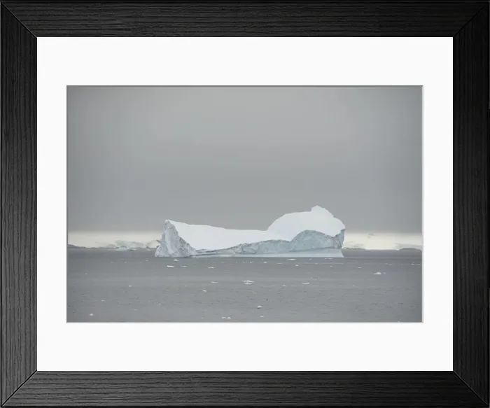 Framed Print : The Wider Image: Journey to Antarctica: seals, penguins and glacial beauty