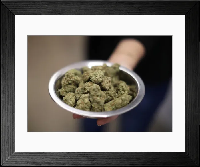 Framed Print : A woman holds marijuana for sale at the MedMen store in West Hollywood Framed Print : A woman holds marijuana for sale at the MedMen store in West Hollywood