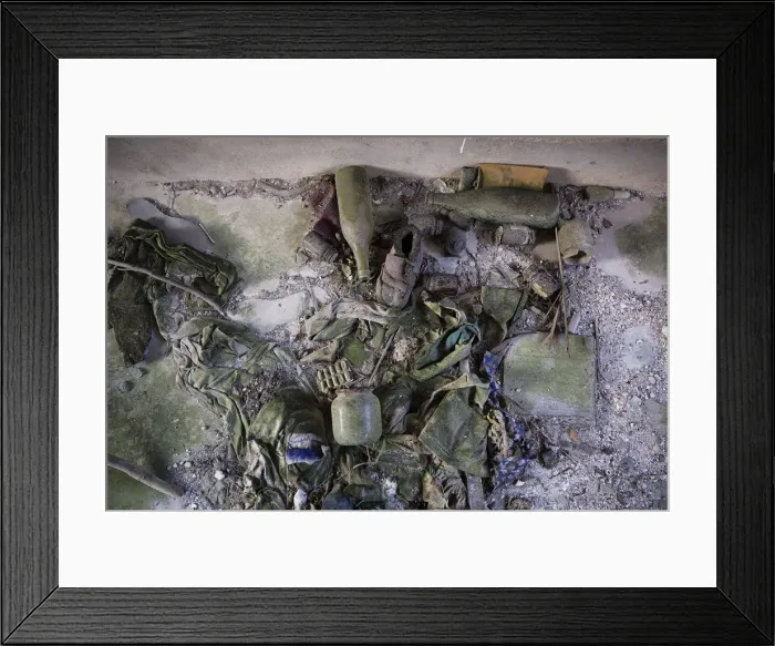 Framed Print : Wider Image: Creeping Vines, Abandoned Village Framed Print : Wider Image: Creeping Vines, Abandoned Village