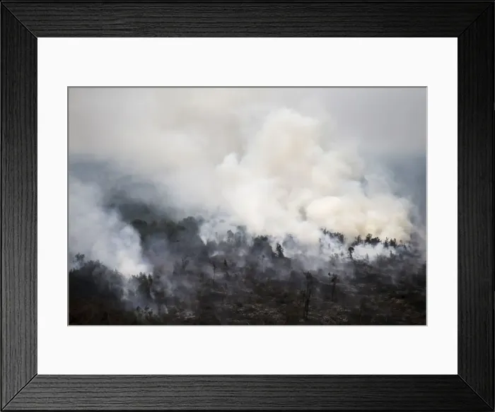 Framed Print : An aerial view of a burning forest at Ogan Komering Ulu area in Indonesias south Sumatra