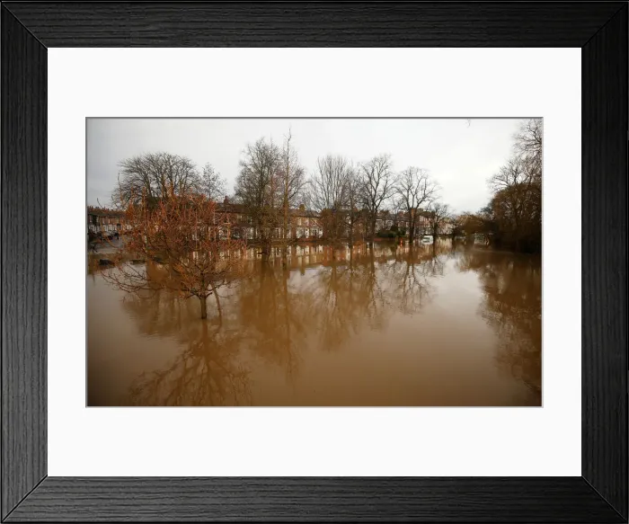 Framed Print : Trees are reflected in flood water on Huntingdon Road in York after the river Ouse burst Framed Print : Trees are reflected in flood water on Huntingdon Road in York after the river Ouse burst
