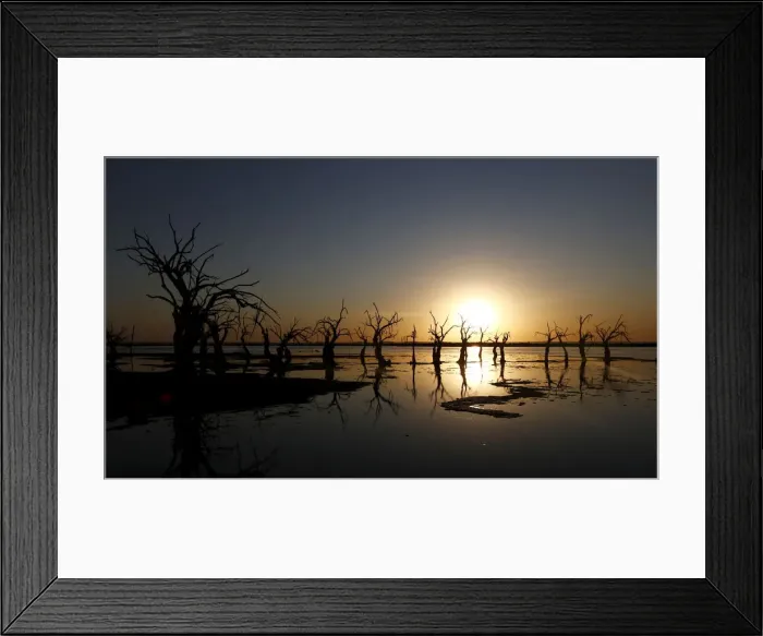 Framed Print : Deadwood is seen at sunset in Epecuen Village
