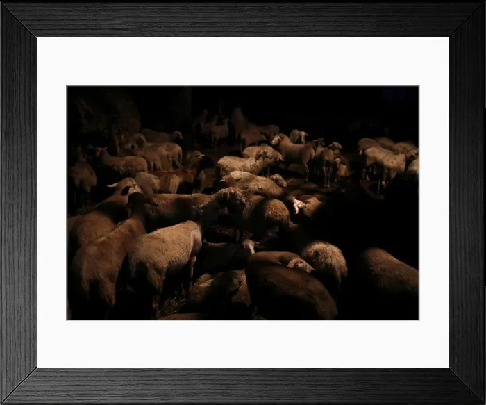 Framed Print : The Wider Image: Reviving a medieval Italian village