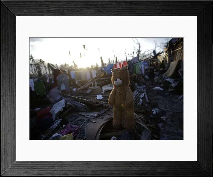 Framed Print : A teddy bear is hung out to dry in a part of Tolosa devastated by Typhoon Haiyan Framed Print : A teddy bear is hung out to dry in a part of Tolosa devastated by Typhoon Haiyan