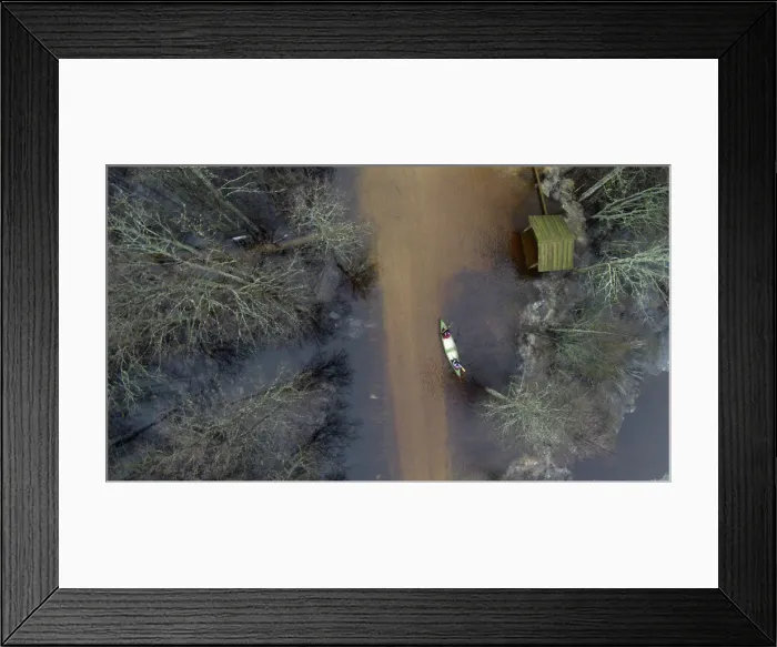 Framed Print : People canoe through a flooded forest in Soomaa national park Framed Print : People canoe through a flooded forest in Soomaa national park