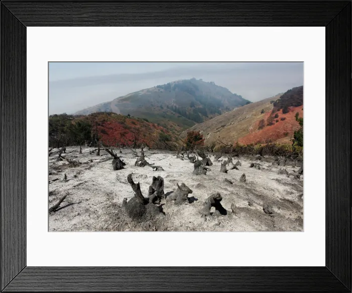 Framed Print : A charred slope smolders after the Soberanes Fire burned through the area in