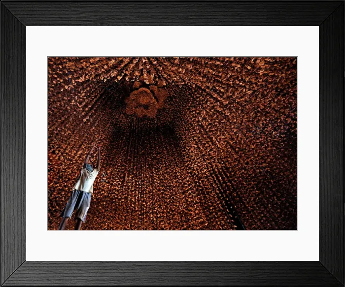 Framed Print : An artisan hangs decorative pieces at a pandal, or a temporary platform Framed Print : An artisan hangs decorative pieces at a pandal, or a temporary platform