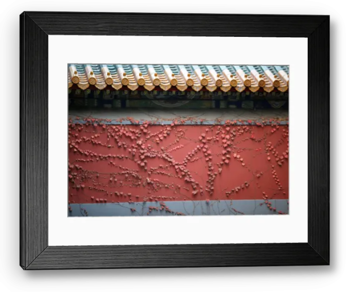 Framed Print : A red wall is covered with creepers on a late autumn day in Beijing Framed Print : A red wall is covered with creepers on a late autumn day in Beijing
