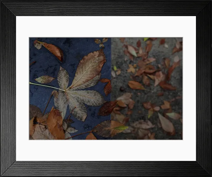 Framed Print : The Wider Image: Four seasons in Madrids Retiro park