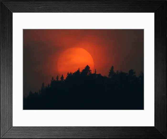 Framed Print : A sun sets over a forest which is shrouded in smoke, from the Siberian Taiga wildfire Framed Print : A sun sets over a forest which is shrouded in smoke, from the Siberian Taiga wildfire