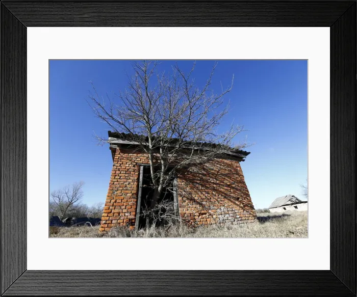 Framed Print : Tree grows out of the door of an abandoned barn in the 30 km (19 miles Framed Print : Tree grows out of the door of an abandoned barn in the 30 km (19 miles