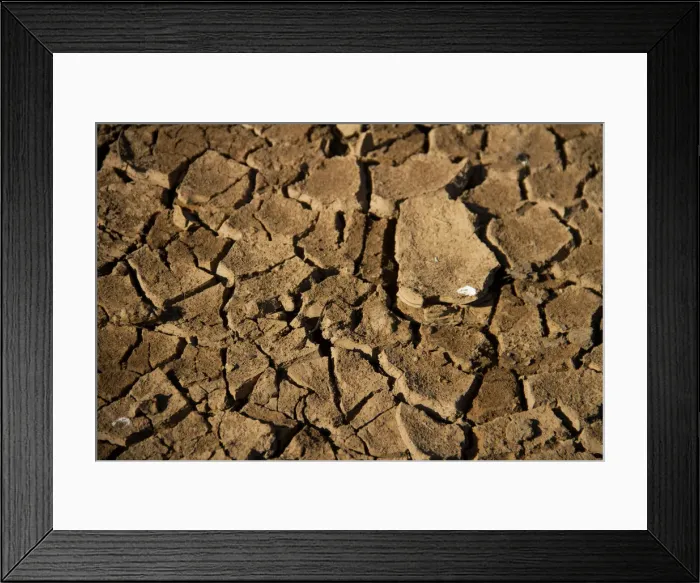 Framed Print : A view shows dried cracked up soil on the edge of the Lake Wegnia Framed Print : A view shows dried cracked up soil on the edge of the Lake Wegnia