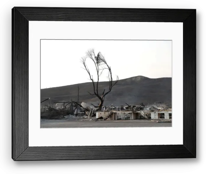 Framed Print : Burnt structures are seen at the historic Stornetta Dairy along Highway 12 during