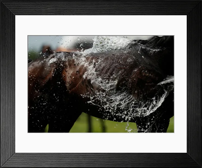 Framed Print : Derby Festival Framed Print : Derby Festival