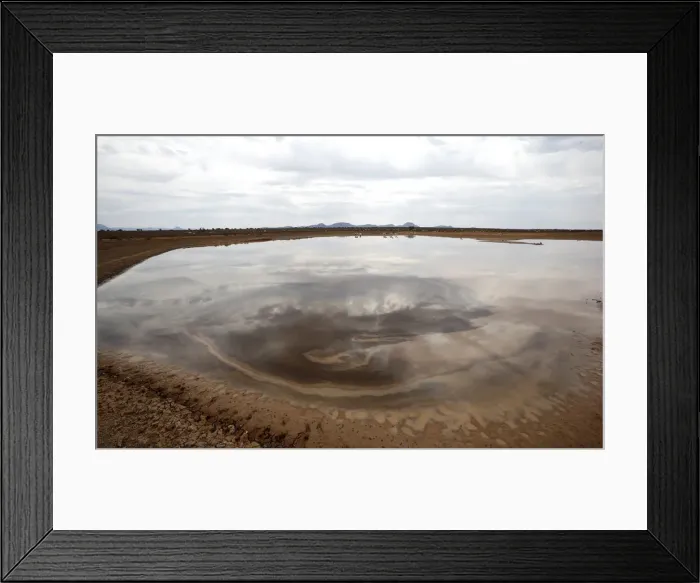 Framed Print : Sheep gather around a watering hole near Aberdeen in the Karoo Framed Print : Sheep gather around a watering hole near Aberdeen in the Karoo