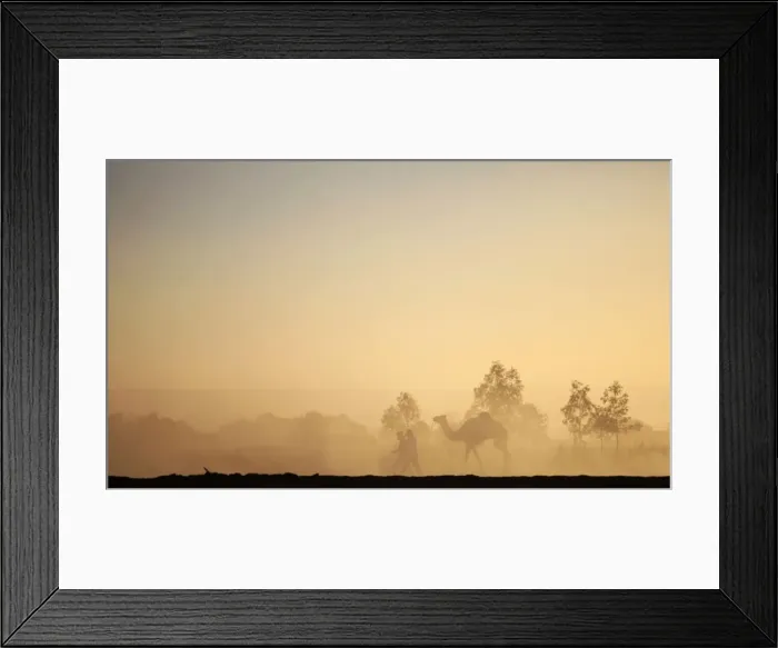 Framed Print : Two men walking with a camel in the desert in Ghat, during the 19th Ghat Festival of Framed Print : Two men walking with a camel in the desert in Ghat, during the 19th Ghat Festival of