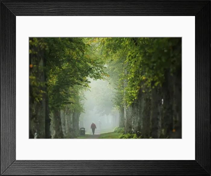 Framed Print : A woman walks through autumn mist at Arundel in Southern England