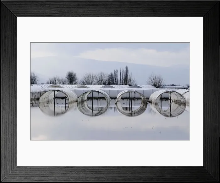Framed Print : A view shows a flooded garden in Murtino Framed Print : A view shows a flooded garden in Murtino