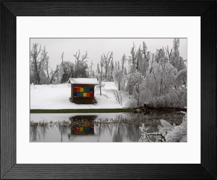 Framed Print : A bee hay is seen surrounded by ice-capped broken trees in Rakitnik