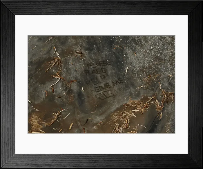 Framed Print : A message is scrawled on a river bank amidst fallen trees as U. S Framed Print : A message is scrawled on a river bank amidst fallen trees as U. S