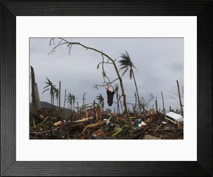 Framed Print : A mannequin hangs on a tree amidst debris brought by super typhoon Haiyan in Palo Framed Print : A mannequin hangs on a tree amidst debris brought by super typhoon Haiyan in Palo