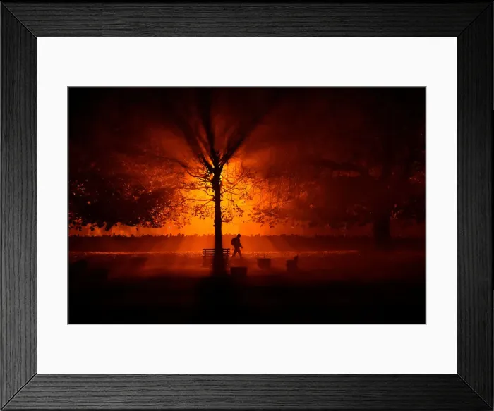 Framed Print : A man uses a torch to walk through a park during cold fog at night in Athboy Framed Print : A man uses a torch to walk through a park during cold fog at night in Athboy