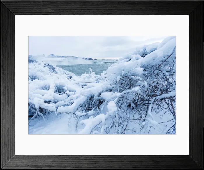Framed Print : Ice and snow cover branches near the brink of the Horseshoe Falls in Niagara Falls Framed Print : Ice and snow cover branches near the brink of the Horseshoe Falls in Niagara Falls