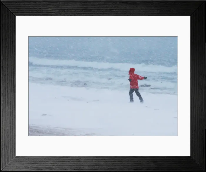 Framed Print : A man walks along the beach during a winter snowstorm in the Boston suburb of Revere