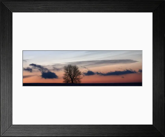 Framed Print : The sun sets behind a lone tree in a field near the eastern Bohemian village of Rovne Framed Print : The sun sets behind a lone tree in a field near the eastern Bohemian village of Rovne