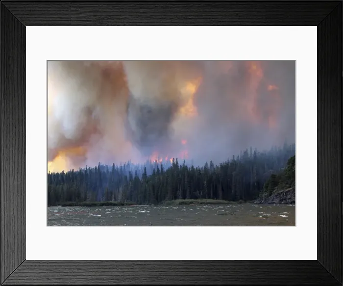 Framed Print : The Reynolds Creek Wildland Fire burns in Glacier National Park, Montana Framed Print : The Reynolds Creek Wildland Fire burns in Glacier National Park, Montana